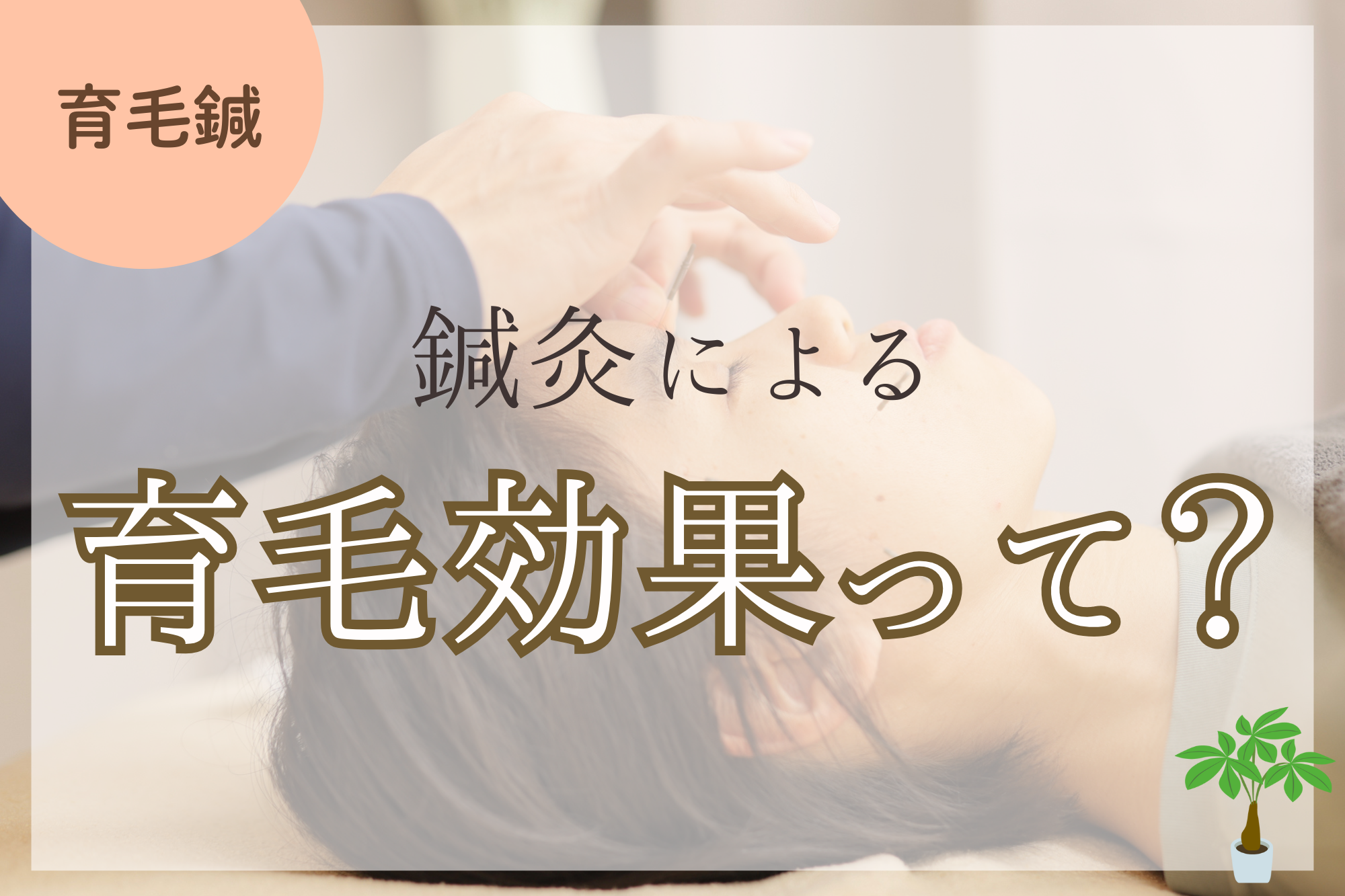 鍼灸による育毛効果とは